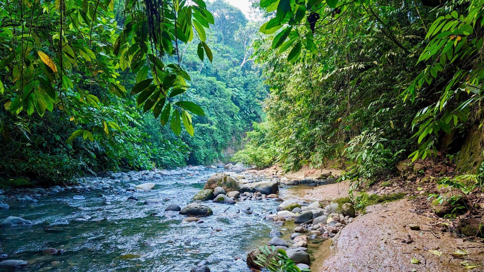 Finca Heimatlos Puyo Esterno foto